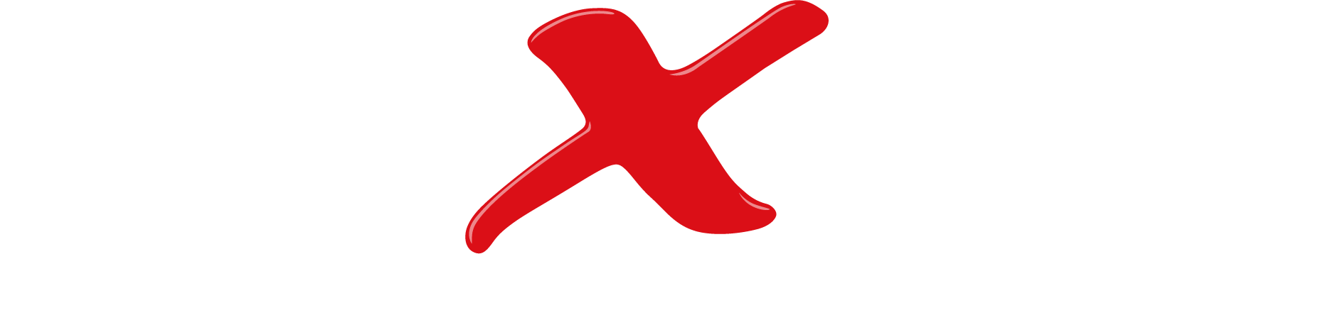 BilXtra Logo